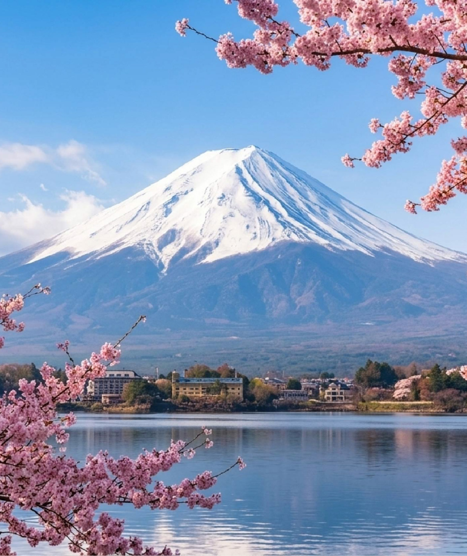 富士山樱花370x440主页封面